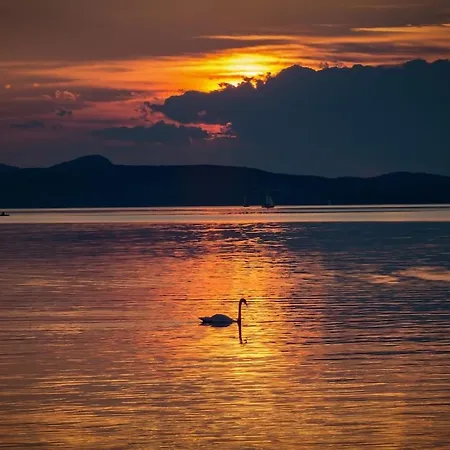 Apartment Voeroes Patak Apartmanhaz -red Creek Apartmant House Balatonfůzfő